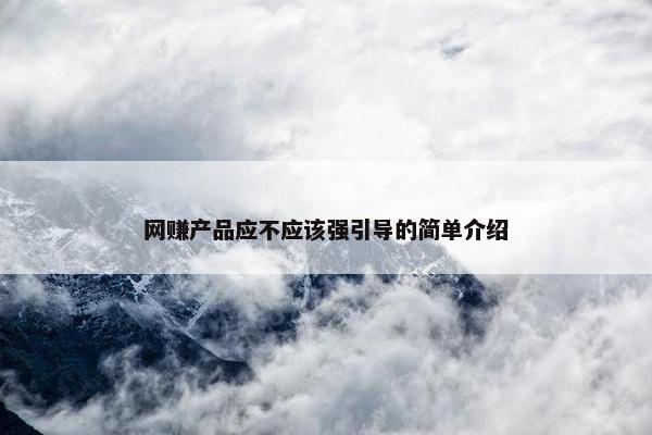 网赚产品应不应该强引导的简单介绍