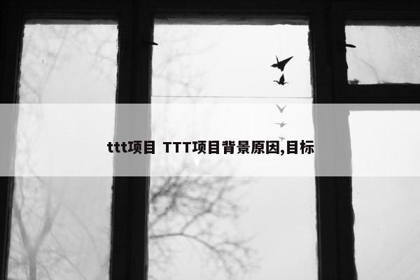 ttt项目 TTT项目背景原因,目标