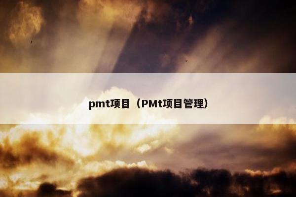 pmt项目（PMt项目管理）