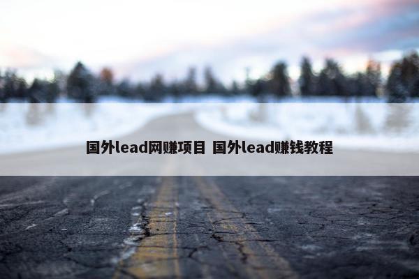 国外lead网赚项目 国外lead赚钱教程