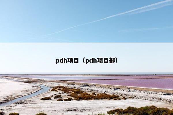 pdh项目（pdh项目部）