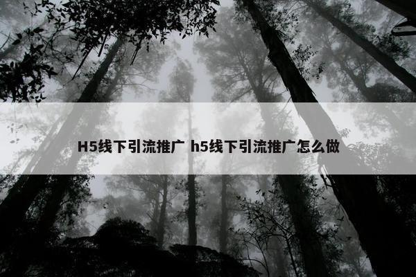 H5线下引流推广 h5线下引流推广怎么做