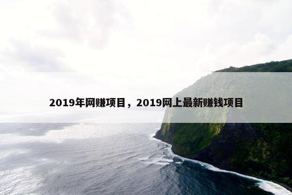 2019年网赚项目，2019网上最新赚钱项目