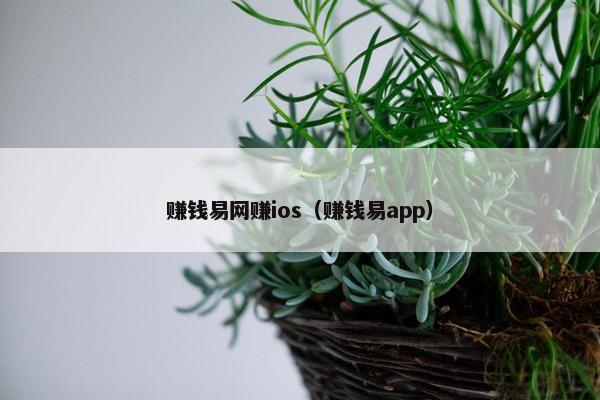 赚钱易网赚ios（赚钱易app）