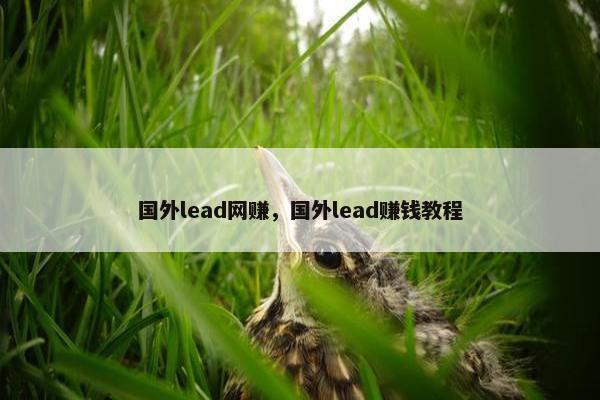 国外lead网赚，国外lead赚钱教程