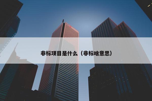 非标项目是什么（非标啥意思）