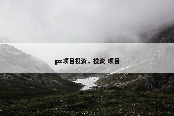 px项目投资，投资 项目