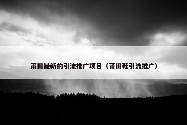 莆田最新的引流推广项目（莆田鞋引流推广）