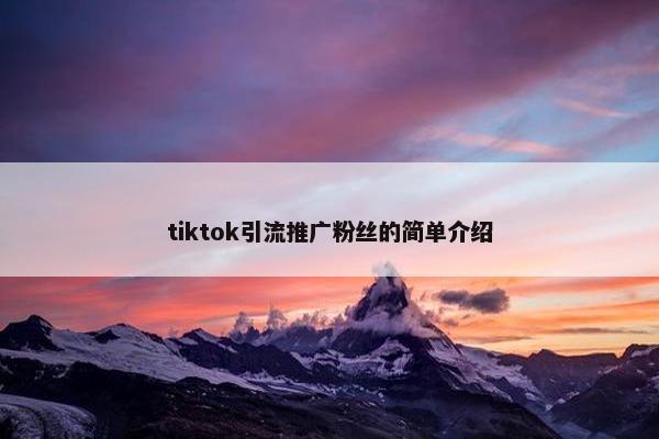 tiktok引流推广粉丝的简单介绍