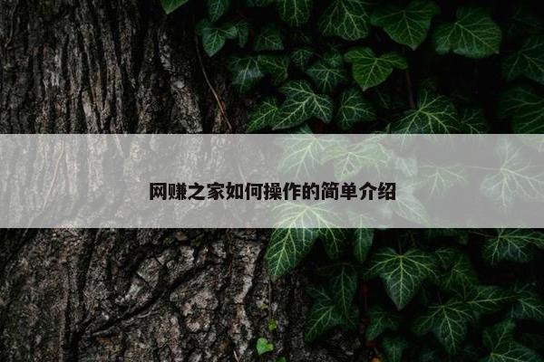 网赚之家如何操作的简单介绍