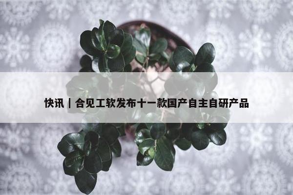 快讯｜合见工软发布十一款国产自主自研产品