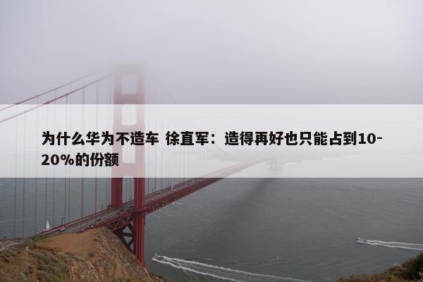 为什么华为不造车 徐直军：造得再好也只能占到10-20%的份额