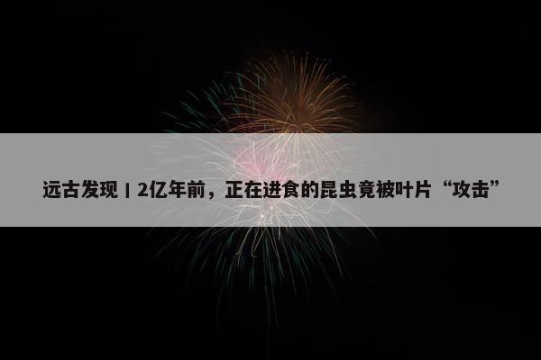 远古发现丨2亿年前，正在进食的昆虫竟被叶片“攻击”