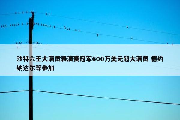 沙特六王大满贯表演赛冠军600万美元超大满贯 德约纳达尔等参加