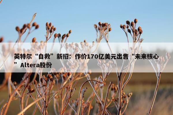 英特尔“自救”新招：作价170亿美元出售“未来核心”Altera股份